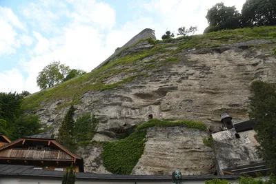 DSC_6356 (Large).JPG